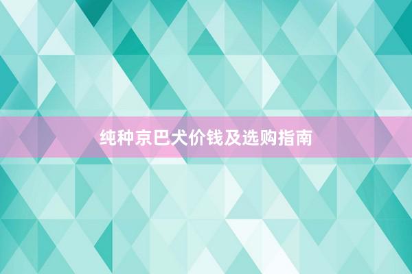 纯种京巴犬价钱及选购指南