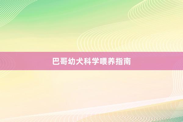 巴哥幼犬科学喂养指南